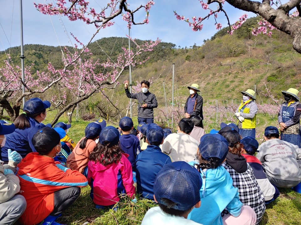 월등 초등학교 이미지