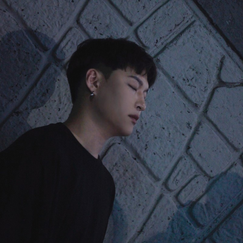 피엘(PL) 이미지