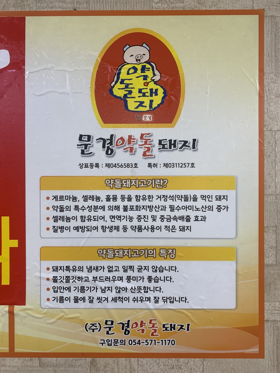 수애리 이미지
