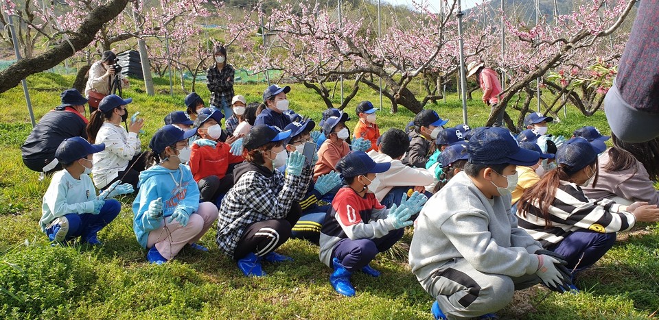 월등 초등학교 이미지
