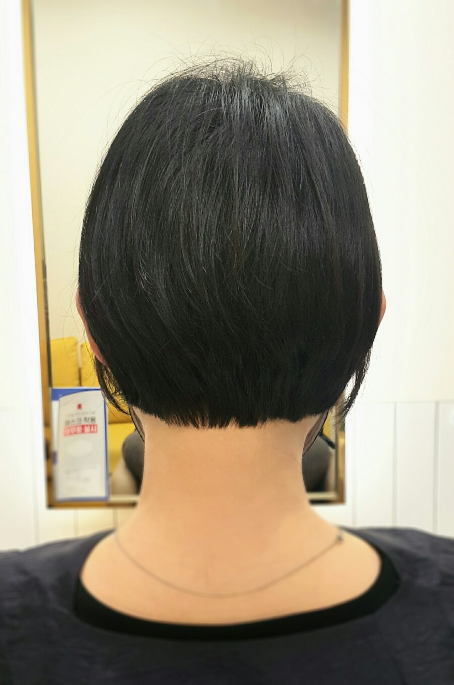 도유보네르 이미지