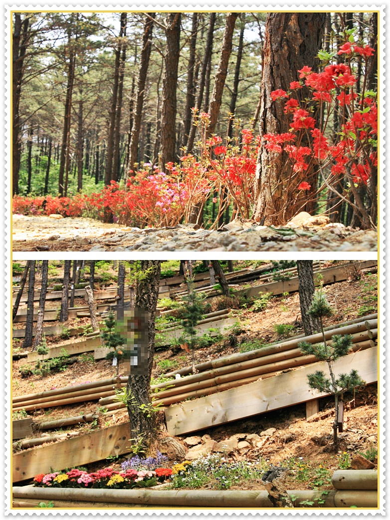 경소사 이미지