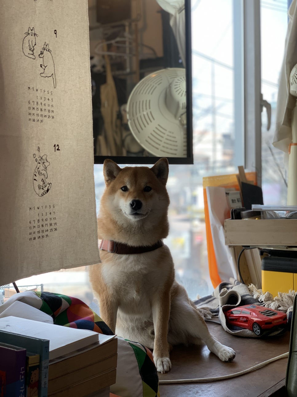 예예미용실 이미지