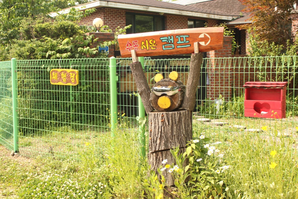수동시온캠프 이미지