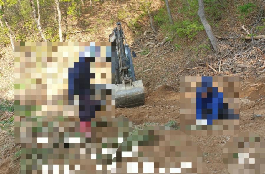 고인돌상조 이미지