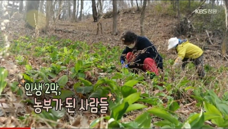 소망영농조합법인 이미지