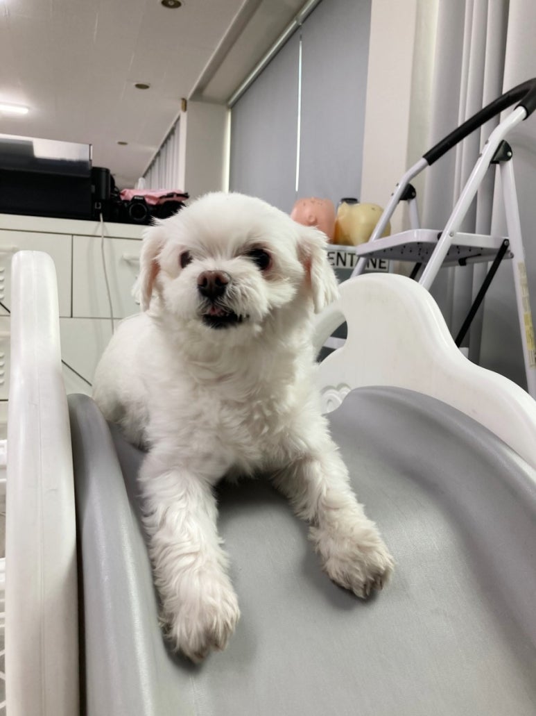 을동이네사진관 이미지