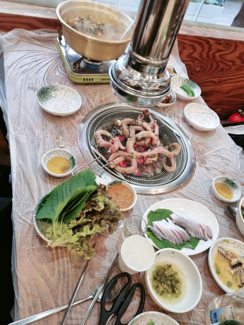 산꼼장어 이미지
