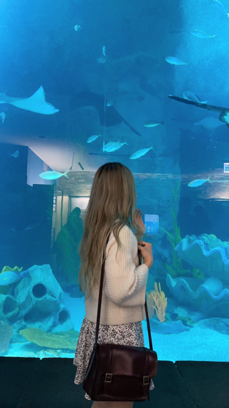 꼼나나도산점 이미지