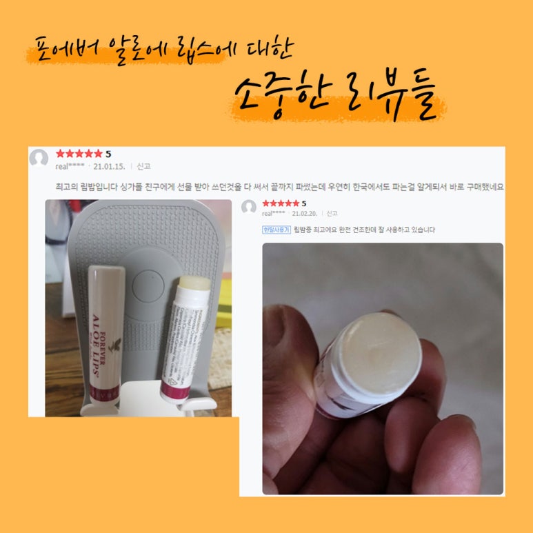 포에버코리아(유) 이미지