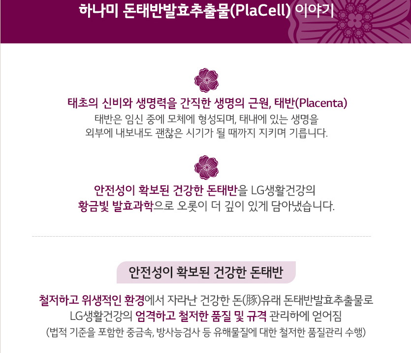 하나미 이미지