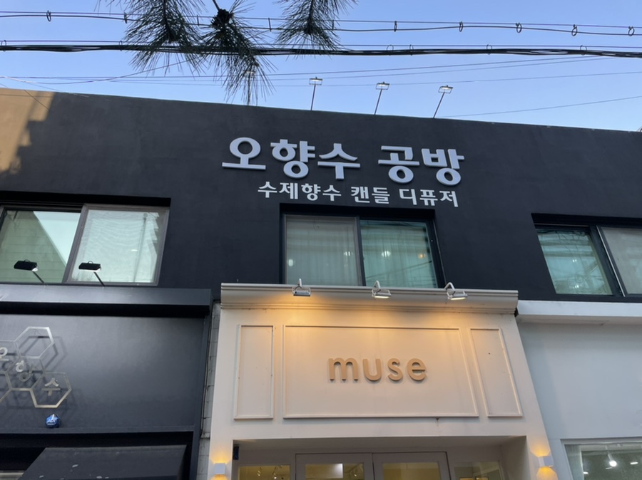 오향수 이미지