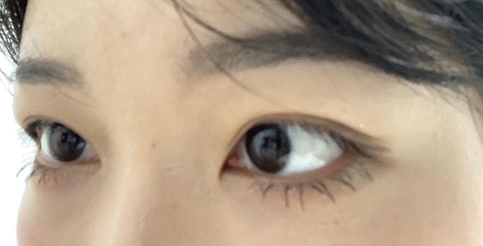 바덴뷰티&레푸스 이미지