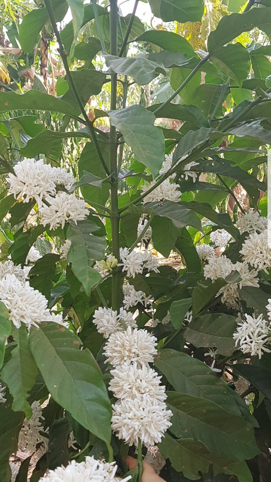 샘물다방 이미지