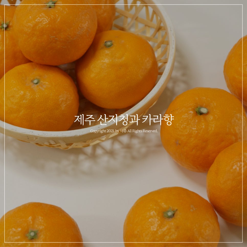 변동청과 이미지
