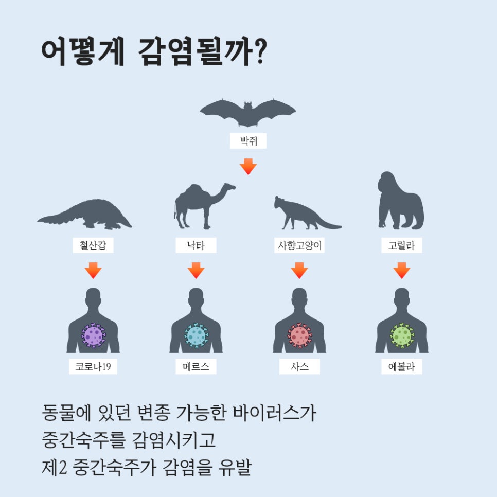 인수환경 이미지