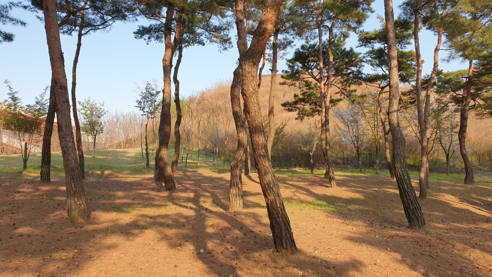 성당 무도학원 이미지