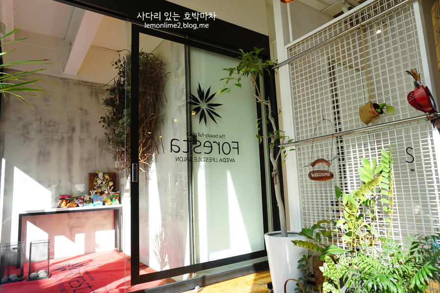 로데오미용실 이미지