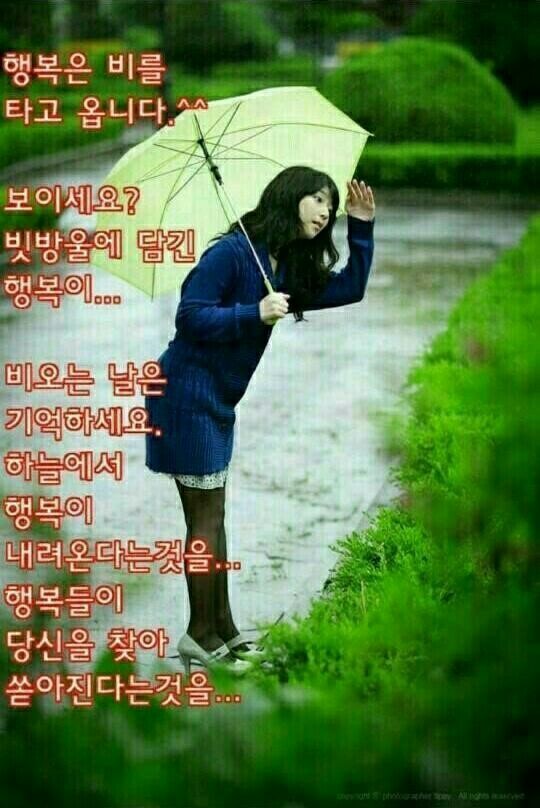호야네 이미지