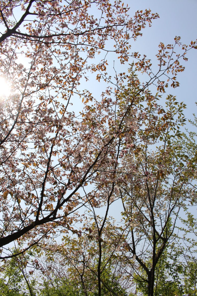 푸른산수목원 이미지