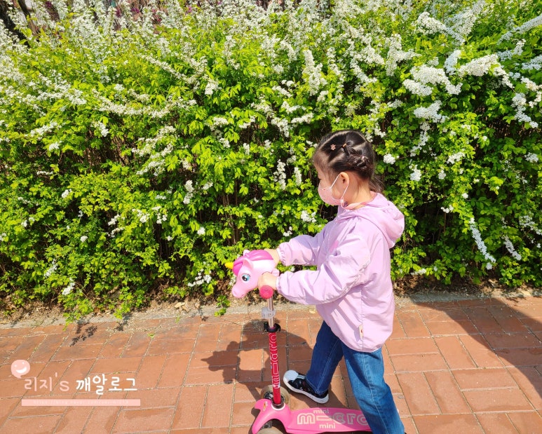 라클로이 이미지