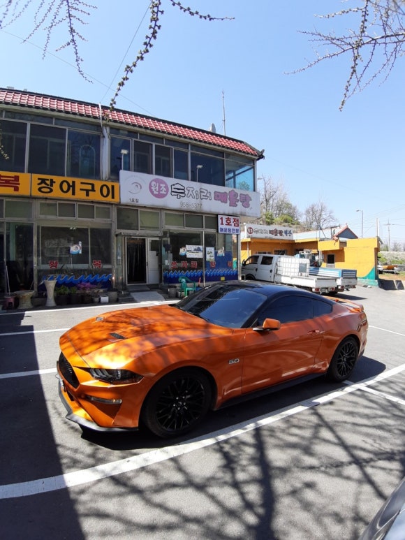 구경메기매운탕 이미지