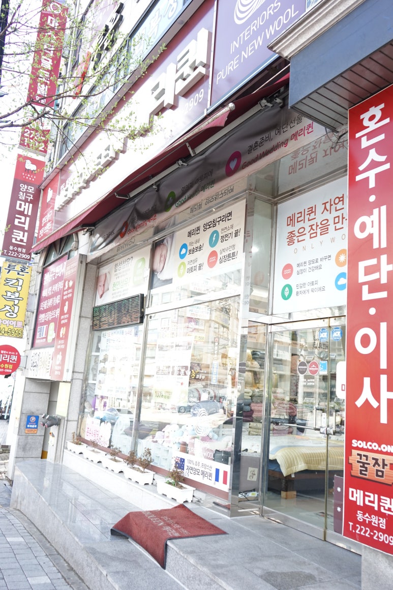 메리퀸동 이미지
