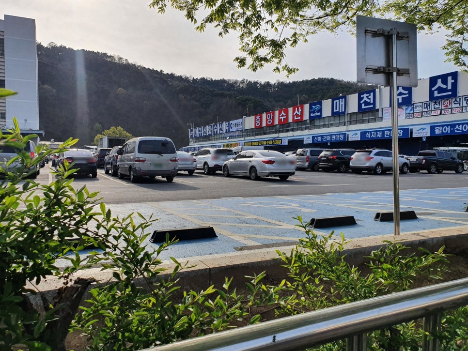 대구수산주 이미지