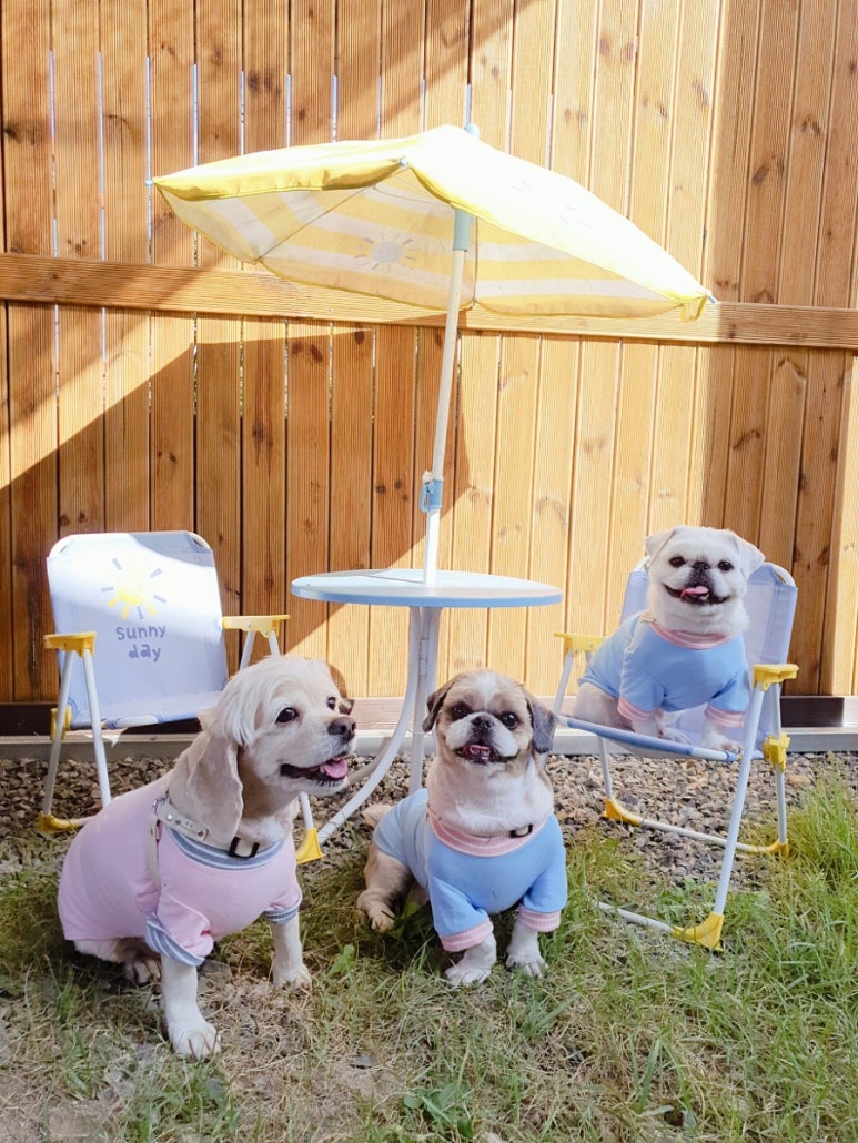 카페선원리 이미지