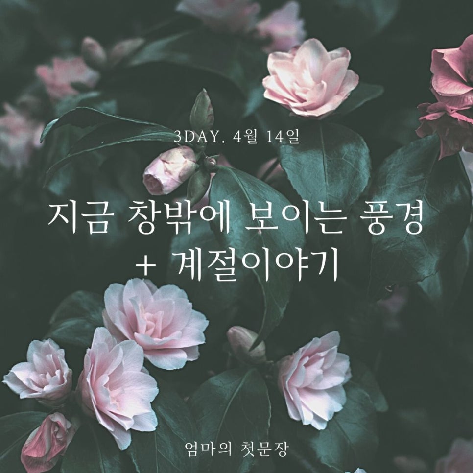 계절이야기 이미지