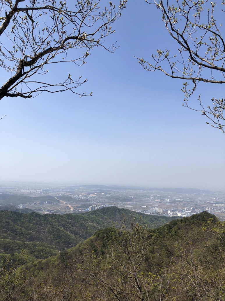 유량별미칡냉면 이미지
