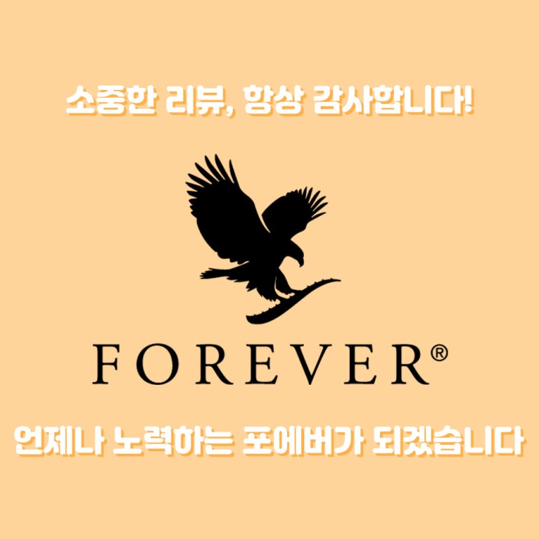포에버코리아(유) 이미지
