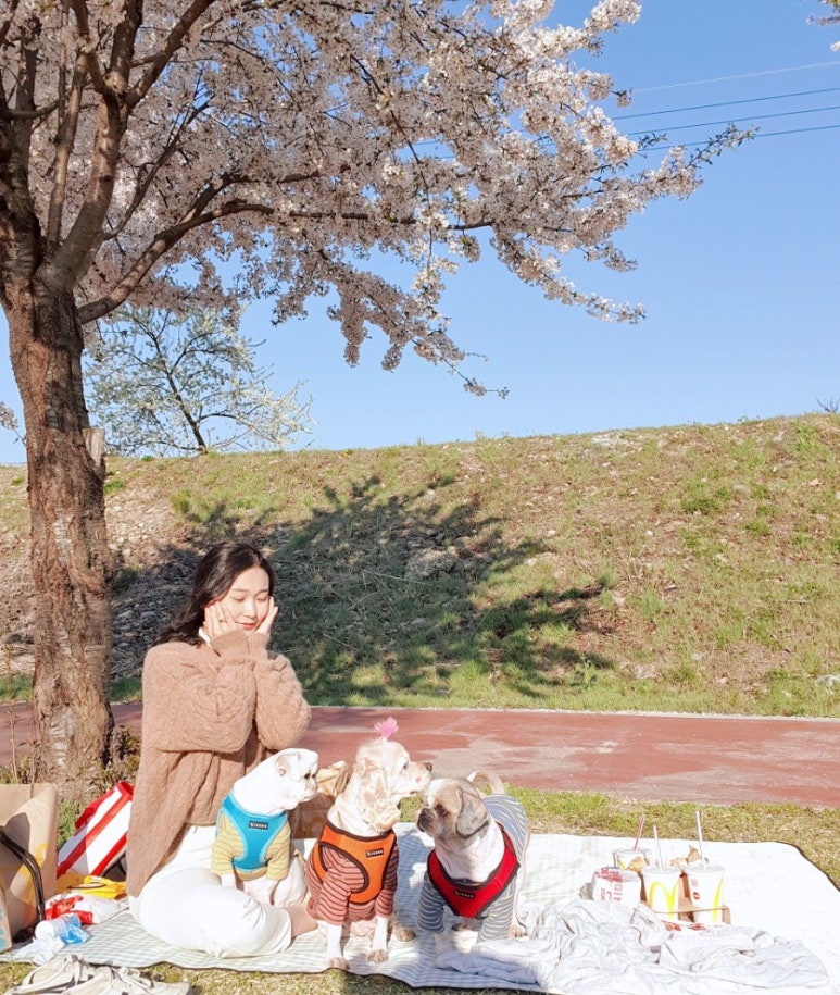 카페선원리 이미지