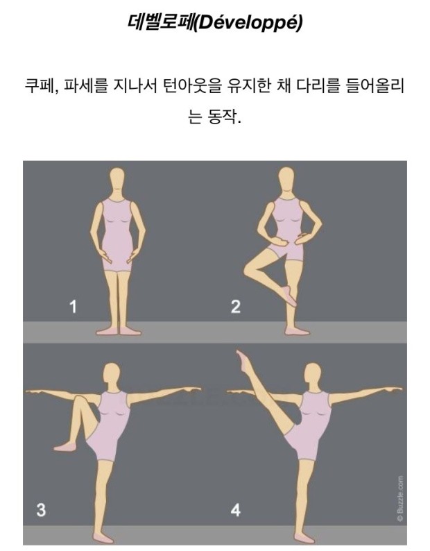 로페 이미지