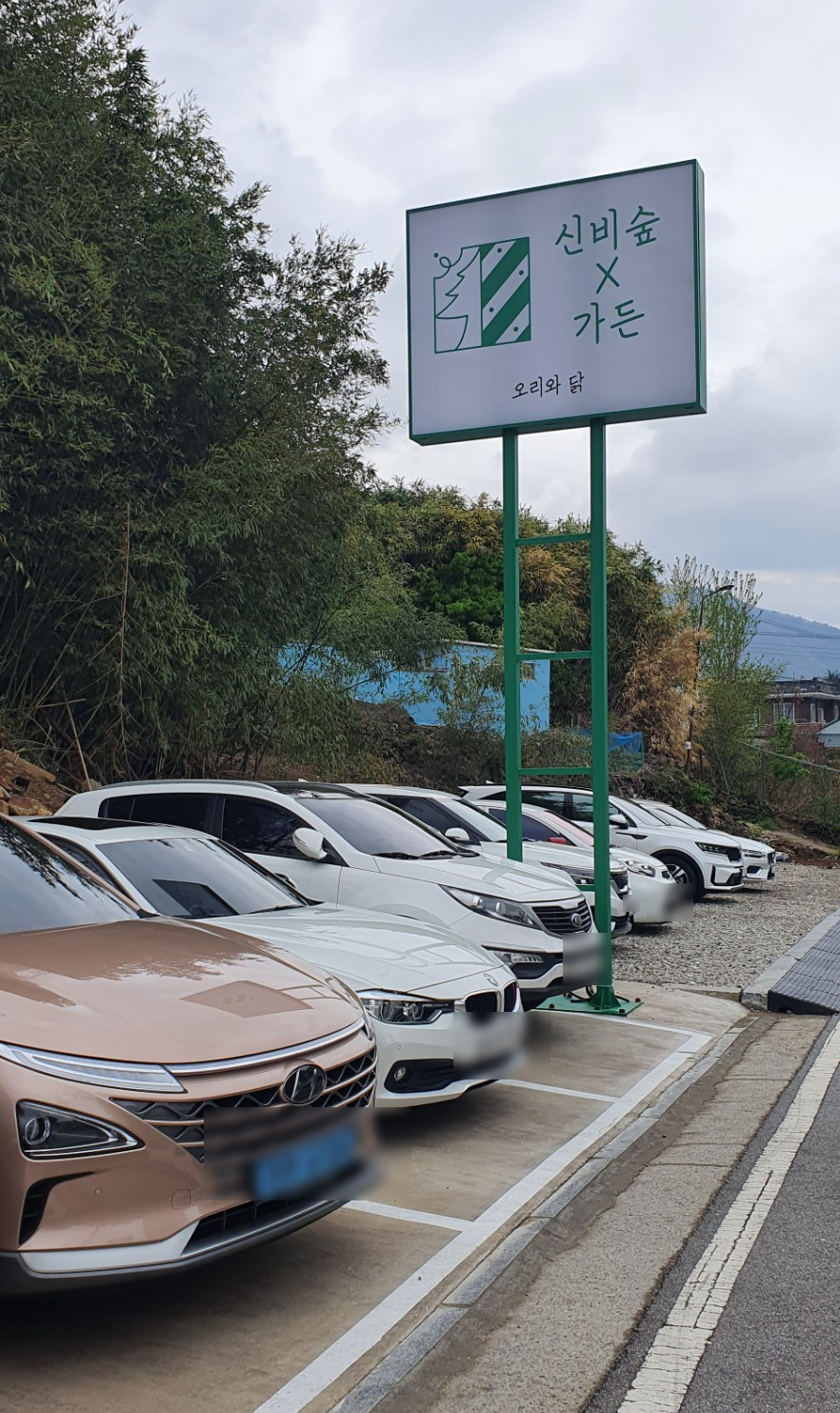 신비숲X가든 이미지
