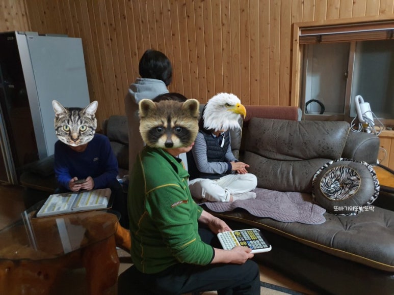 띵까띵까노래연습장 이미지