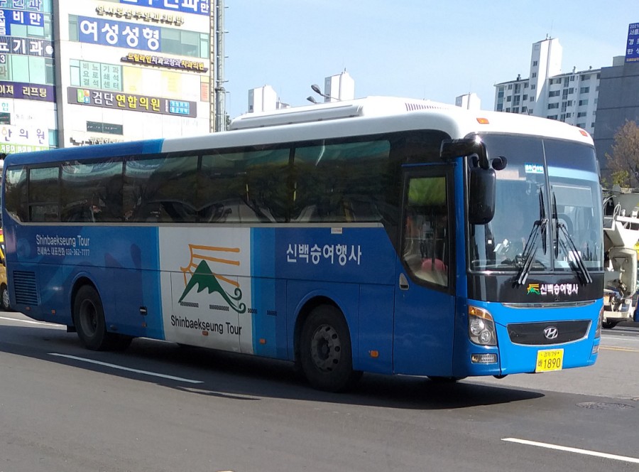 뉴럭셔리여행사 이미지