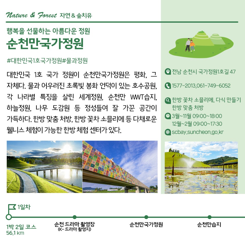 순천만 숲6 이미지