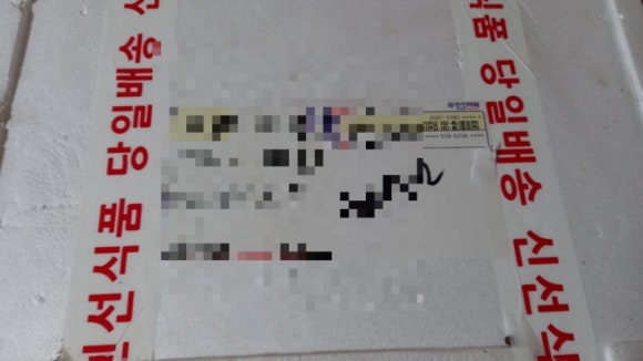 모순자민물장어 이미지