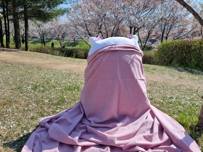 솜솜아이스 이미지