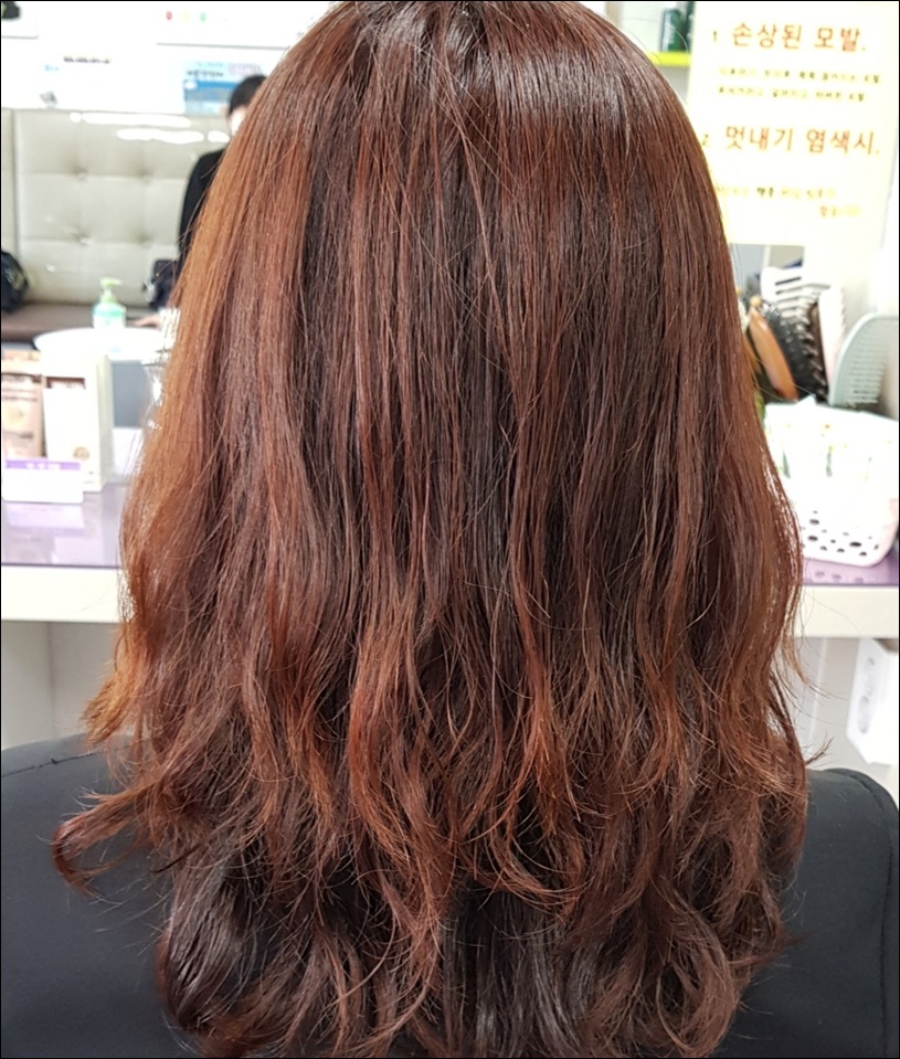 구피샵대구상동점 이미지