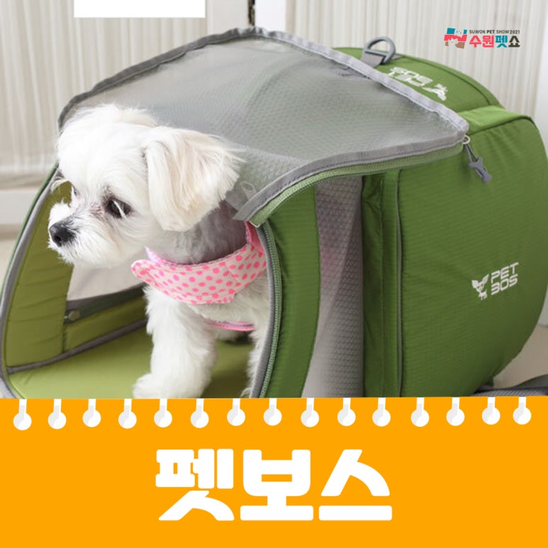 빛돌커뮤니케이션 이미지