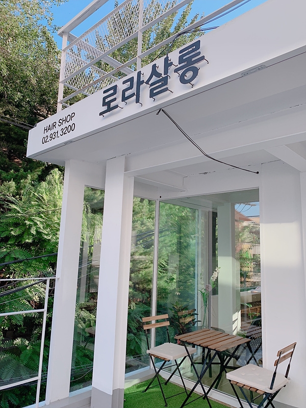 로라살롱 이미지
