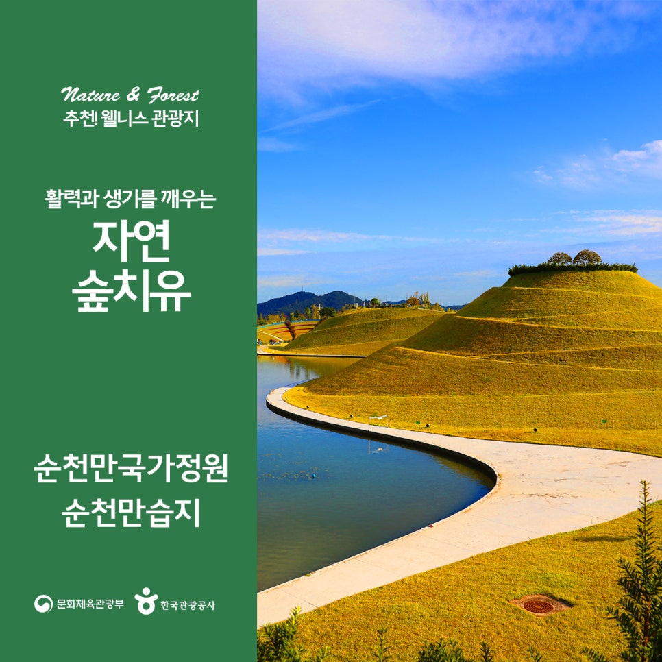 순천만 숲3 이미지
