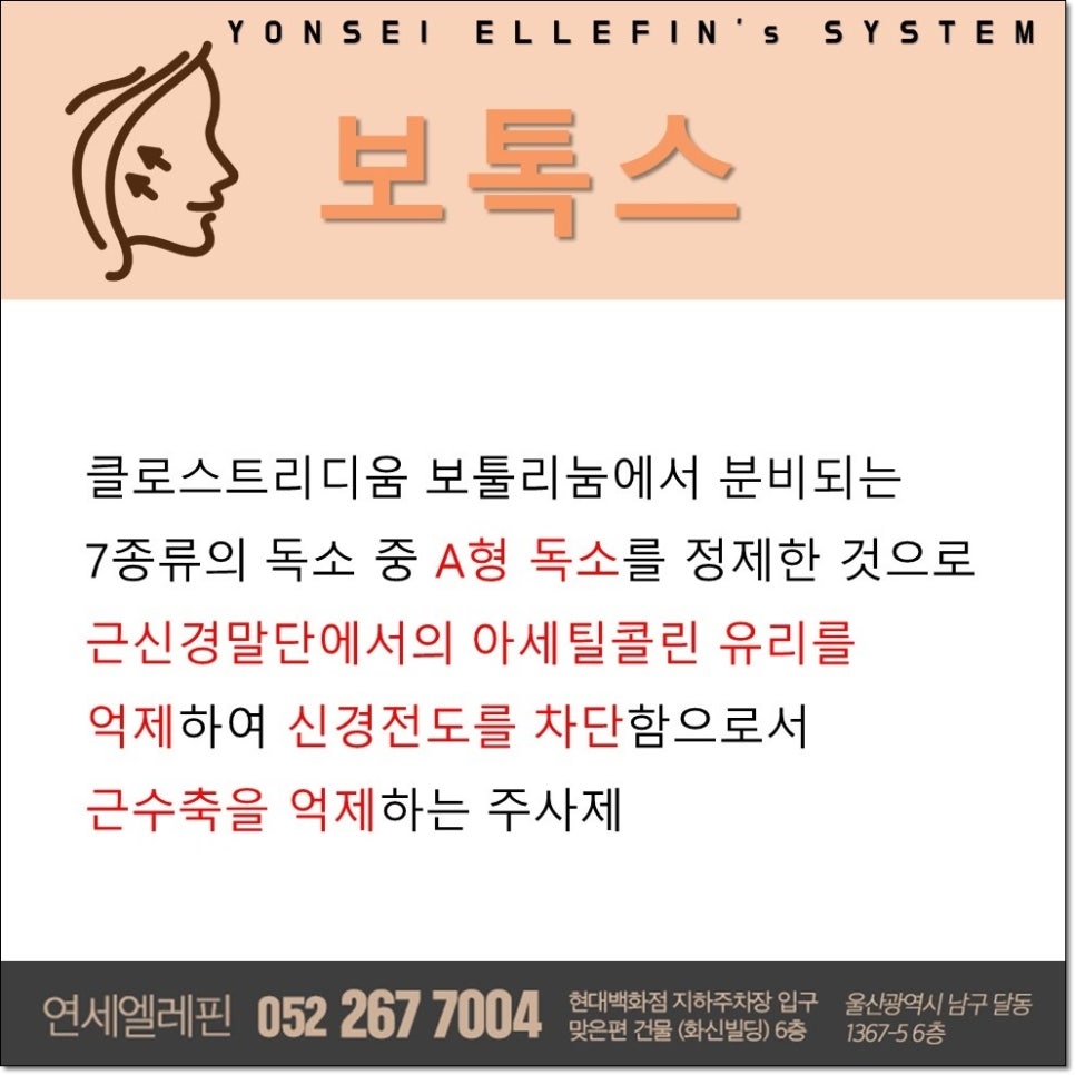 연세엘레핀의원 이미지