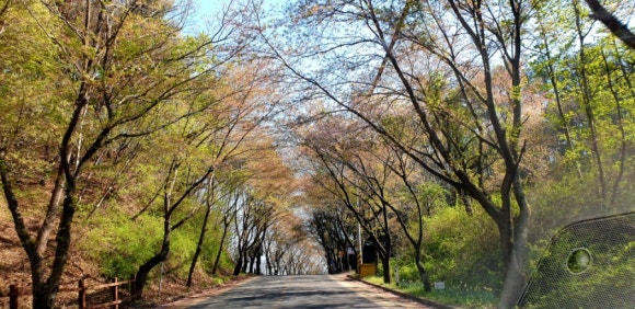 장곡민박산장 이미지