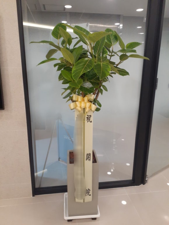 뮤리엘플레르 이미지