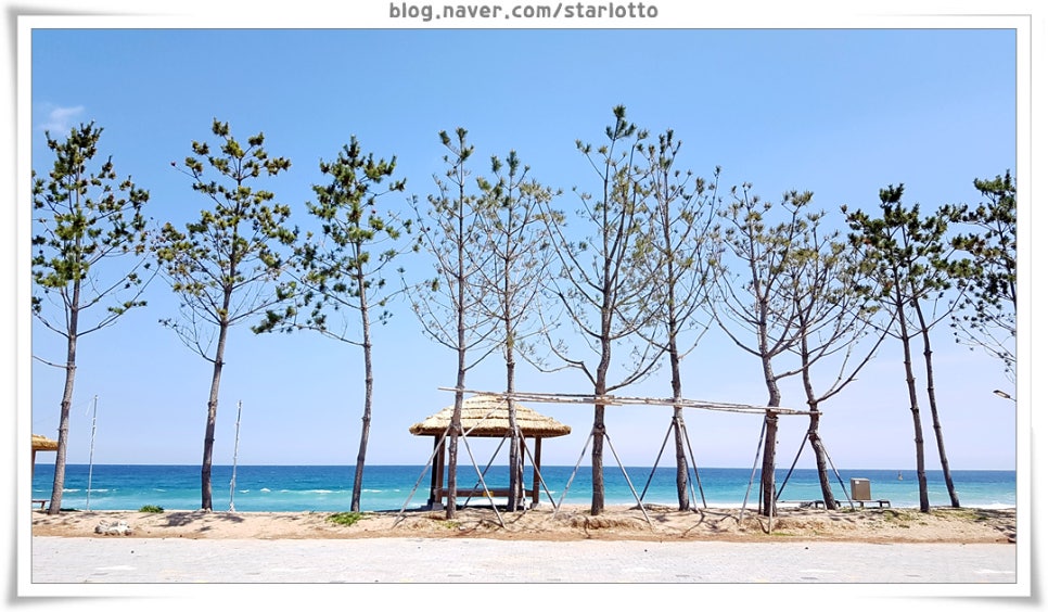 금빛노래방 이미지
