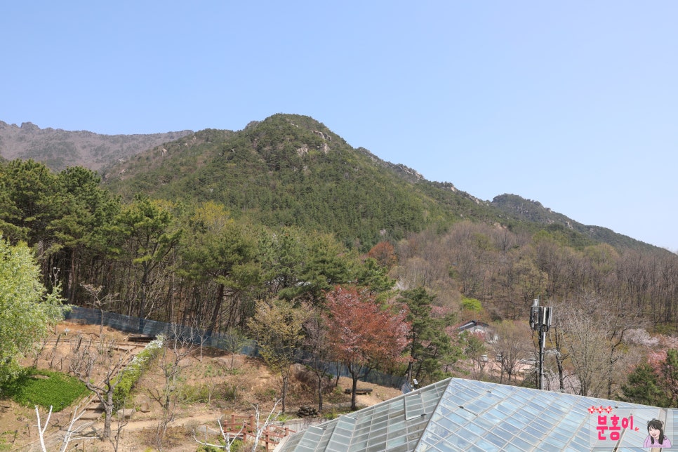 두레식물원 이미지