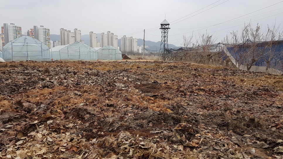 엄마네텃밭 양주로스팅 이미지